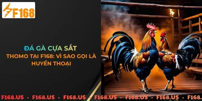 huyền thoại đá gà cựa sắt