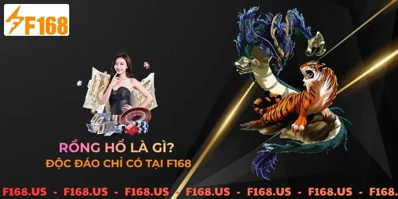 Rồng hổ là gì?