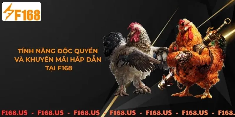 Tính năng độc quyền và khuyễn mãi khủng đá gà cựa sắt